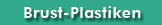 Brust-Plastiken
